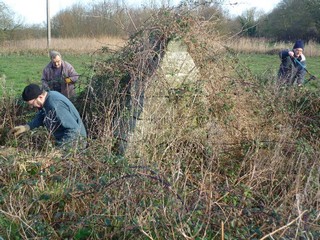 Puis nous sommes allés besogner au milieu d'un pré toujours à Lestalia.
