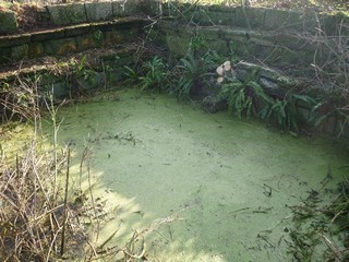 Munie de faucilles, coupe-branches et une débroussailleuse, toute l'équipe avec ardeur et dynamisme a rendu à la lumière les belles pierres de la fontaine et découvert les parois de la "piscine".