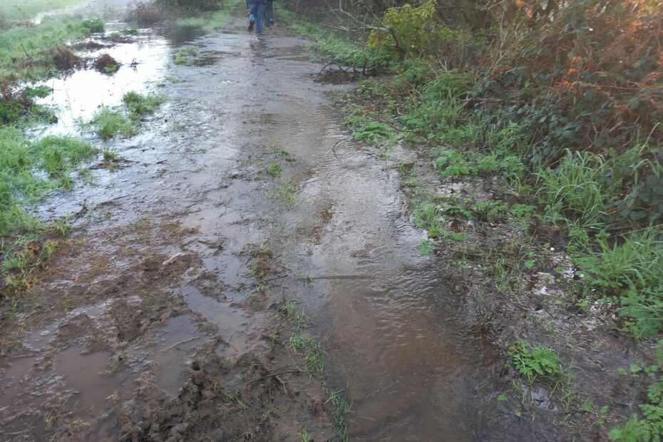 Circuit du Train Carottes